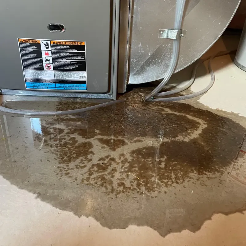 Appliance Leak Cleanup in Inwood, NY