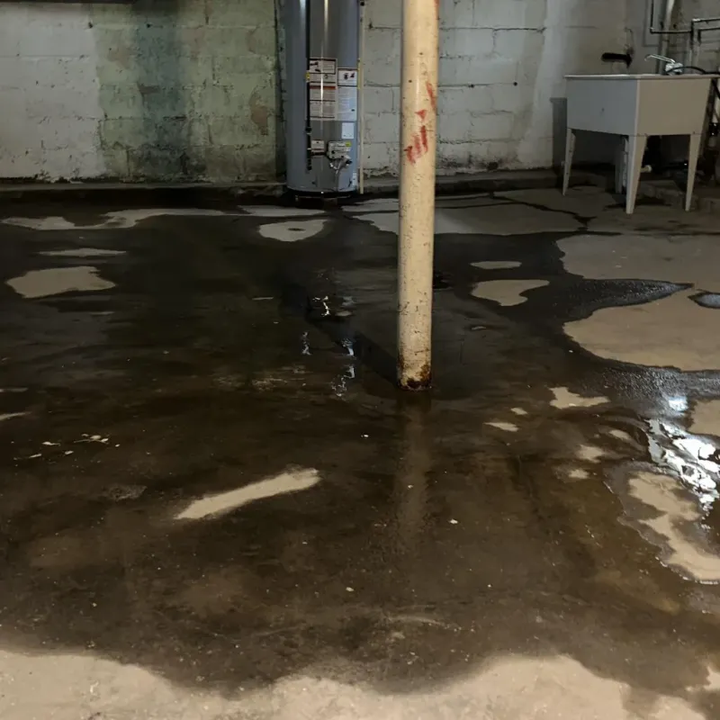Emergency Water Extraction And Removal in Inwood, NY